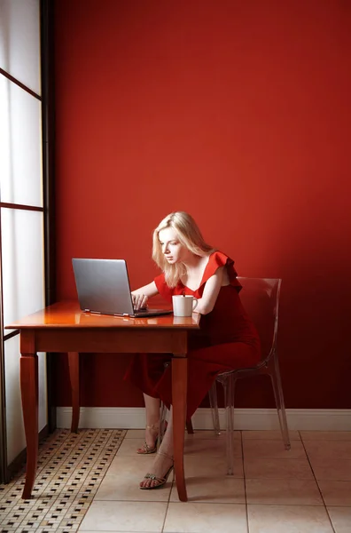 Молода Доросла Жінка Сидить Столом Працює Ноутбуці — стокове фото