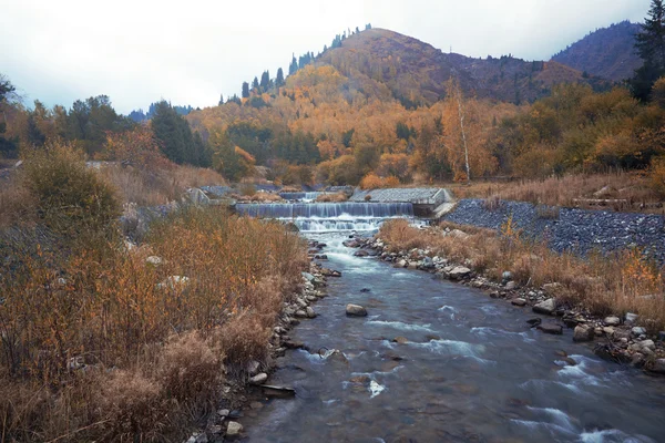 秋の川 — ストック写真