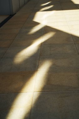 Döşeme üzerinde ışık ve gölge deseni