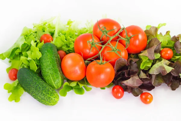 Different bright vegetables on a white background. Tomato, cucumber and lettuce. — Stock Photo, Image