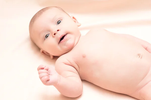 Cute infant 2 months looking at the camera Stock Picture