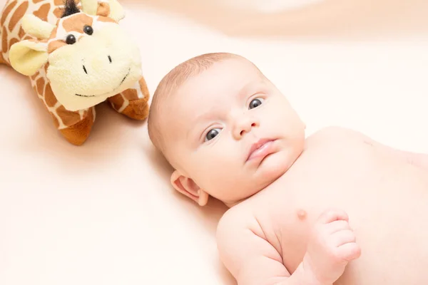 2 mesi bambino con peluche — Foto Stock