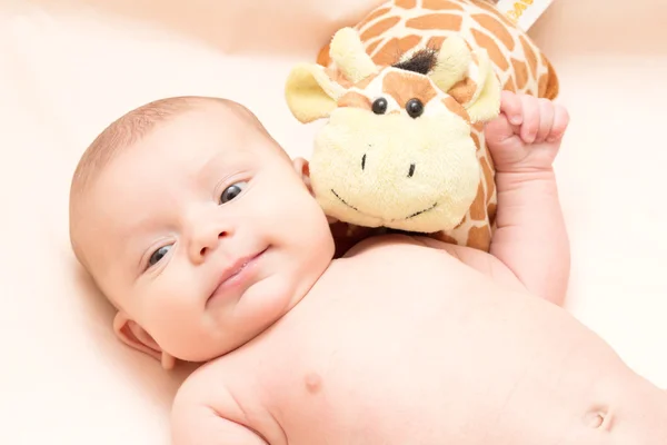 2 meses de bebê com brinquedo macio sorrindo — Fotografia de Stock