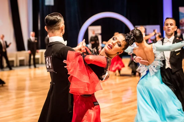 Competitors dancing slow waltz — Stock Photo, Image