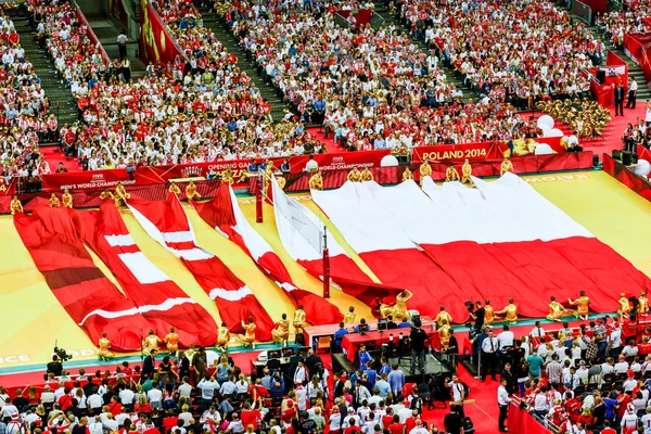 WARSAW, POLONIA - 30 de agosto: Campeonato Mundial Masculino, ceremonia de apertura, Varsovia, 30 de agosto de 2014 —  Fotos de Stock
