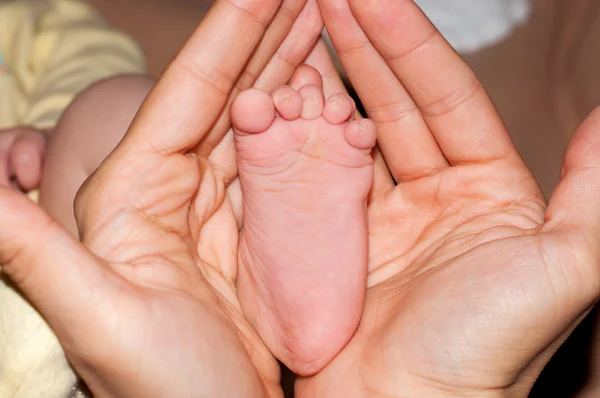 Baby fötter i mors händer — Stockfoto