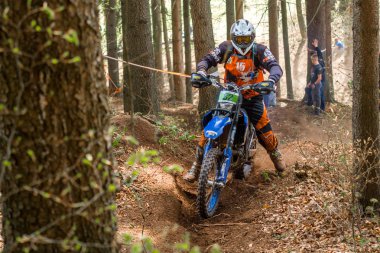 Drapak Rodeo yarış Motocross atlı