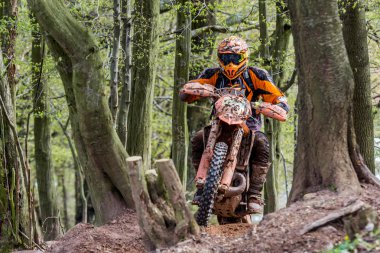 Drapak Rodeo yarış Motocross atlı