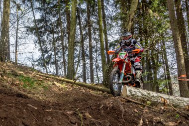 Drapak Rodeo yarış Motocross atlı