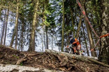 Drapak Rodeo yarış Motocross atlı