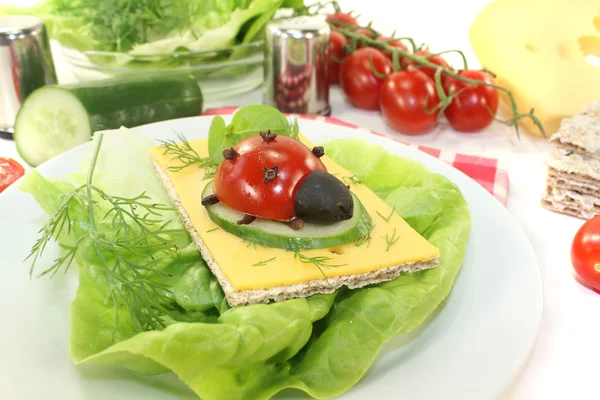 Crispbread with cheese and ladybug — Stock Photo, Image