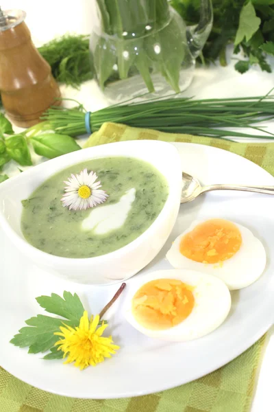 Green herb soup with eggs — Stock Photo, Image