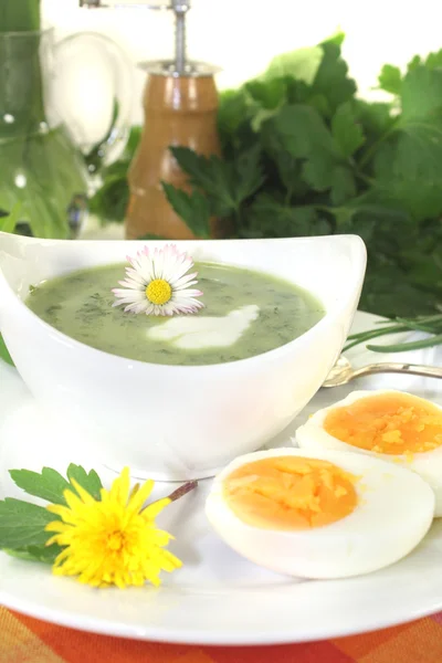 Green herb soup with a dollop of cream — Stock Photo, Image