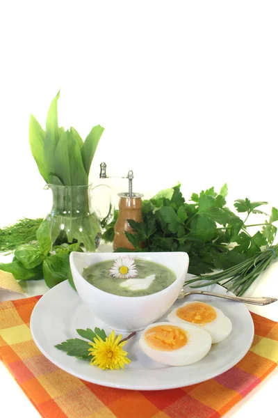 绿色草本鸡蛋和一块奶油汤 — 图库照片