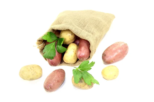 Colorful potatoes in jute sack — Stock Photo, Image