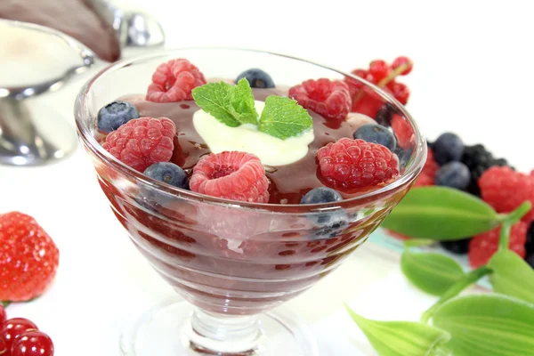 Rood fruit gelei met vanillesaus — Stockfoto