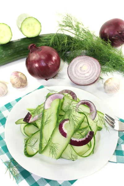 Salada de pepino com cebola vermelha — Fotografia de Stock