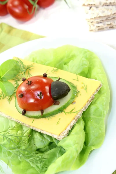 Crispbread with cheese, dill and ladybug — Stock Photo, Image