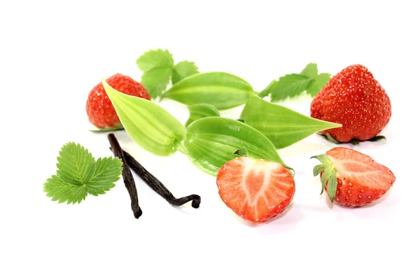 Green Vanilla leaves with red strawberries — Stock Photo, Image