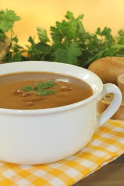 taze ördek çorbası ve maydanoz