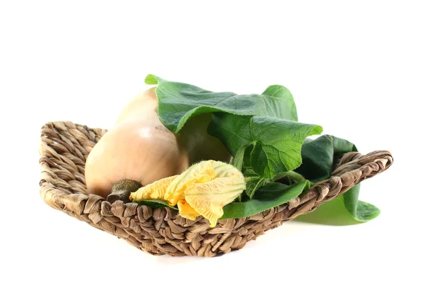 Butternut pumpkin with leaves — Stock Photo, Image