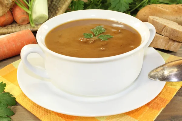 新鮮なダックのスープ — ストック写真