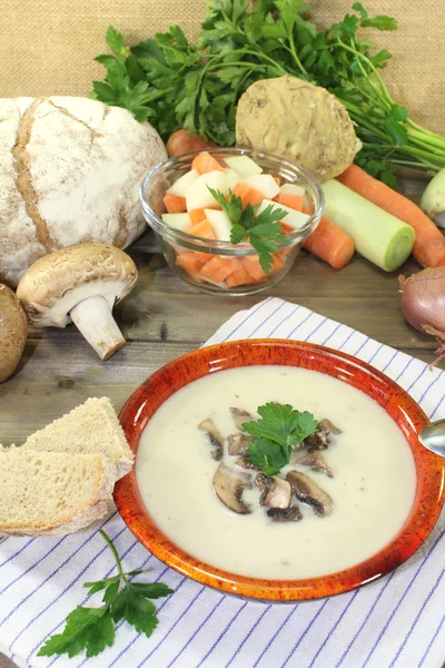 Телячий суп из грибов и петрушки — стоковое фото