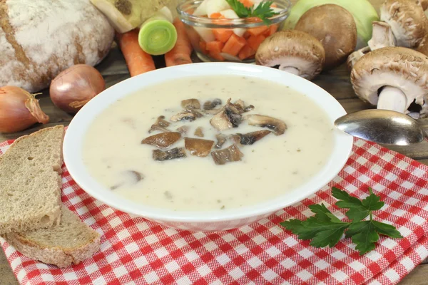 Crème de veau soupe aux champignons mt — Photo