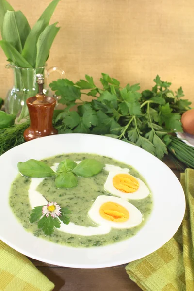 新鲜的绿色香草蛋汤 — 图库照片