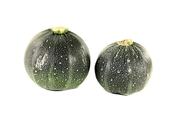 Fresh rotund zucchini — Stock Photo, Image