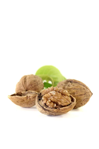 Fresh walnuts with walnut leaves — Stock Photo, Image