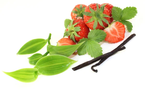 Vanille mit Erdbeeren — Stockfoto