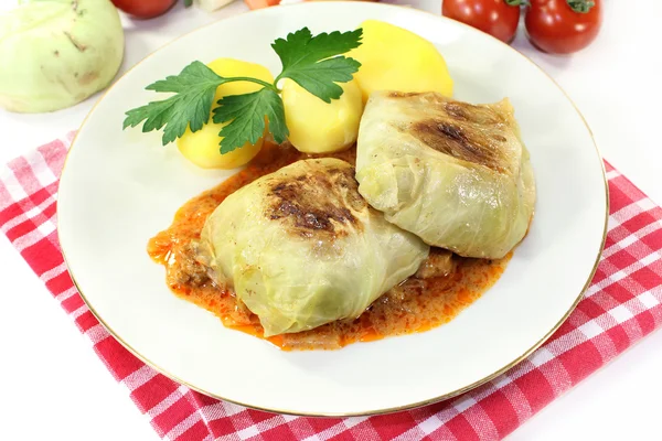 Rotoli di cavolo — Foto Stock