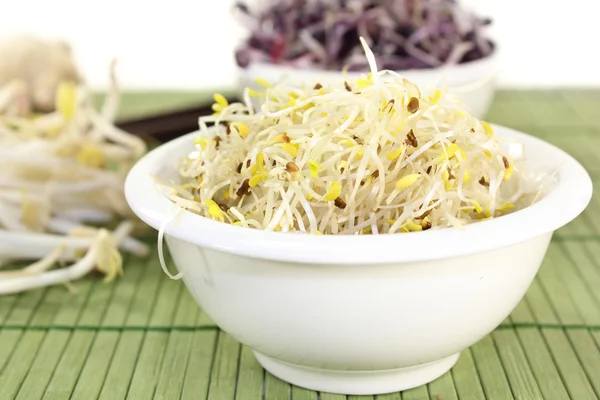 Alfalfa sprouts and radish sprouts — Stock Photo, Image