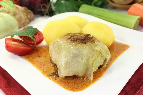 Cabbage roll — Stock Photo, Image