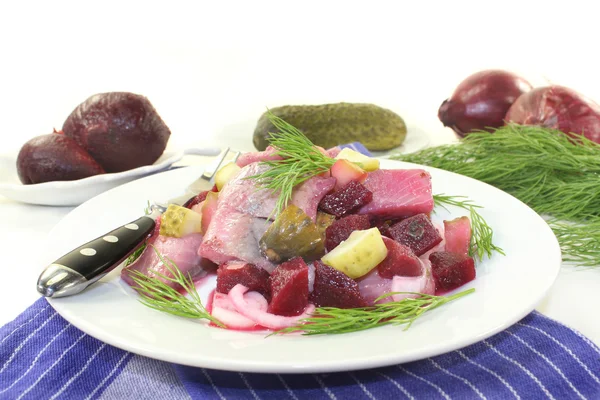 Salada de arenque jovem — Fotografia de Stock