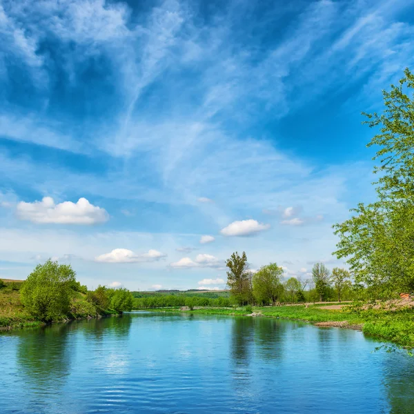 Vista a las orillas del río con árboles verdes —  Fotos de Stock