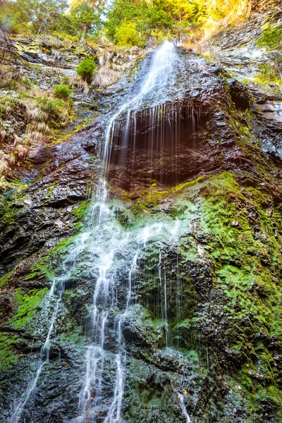 Водопад в диком лесу — стоковое фото