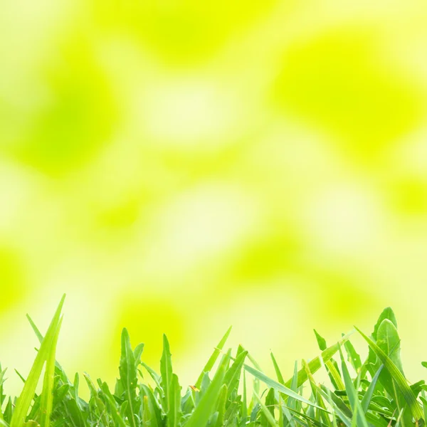 Pontos claros abstarct verdes e amarelos — Fotografia de Stock