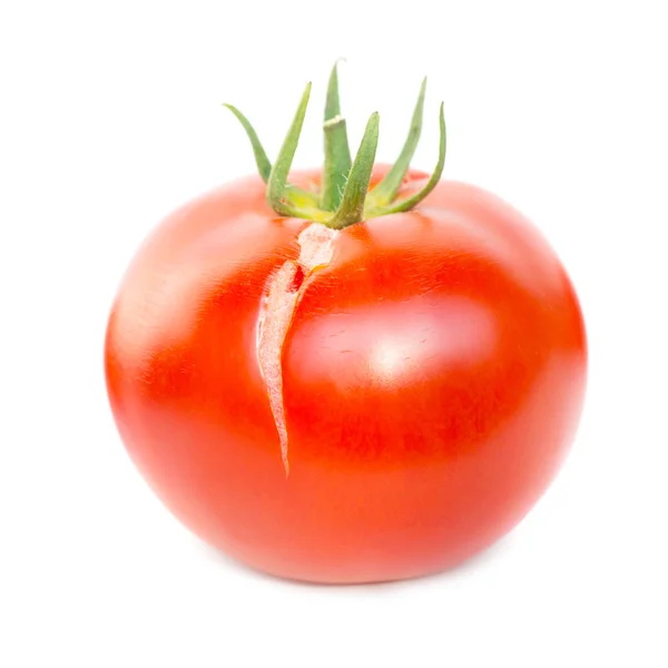 Red fresh tomato — Stock Photo, Image