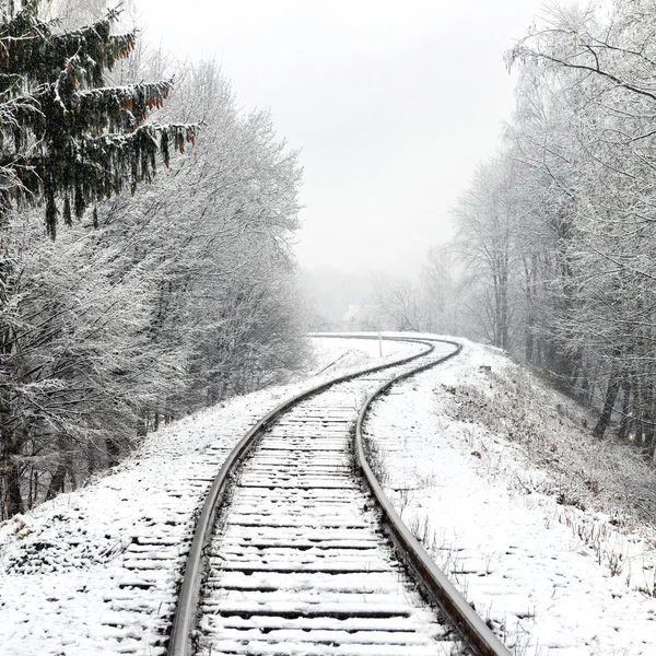 Зимний пейзаж с пустыми рельсами — стоковое фото