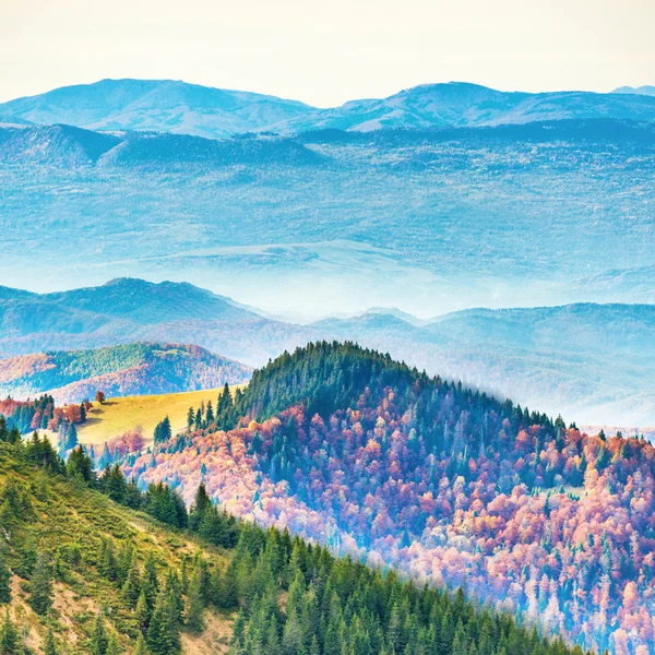 Hermosas montañas en otoño —  Fotos de Stock