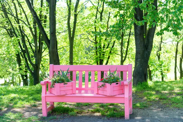 Pink bench in green park — Stock Photo, Image