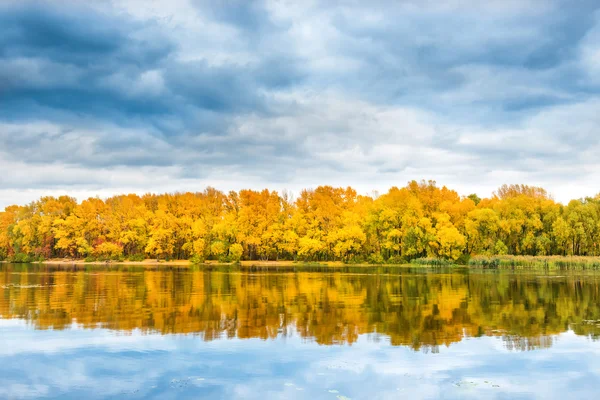 Bosque de otoño en la orilla del río —  Fotos de Stock