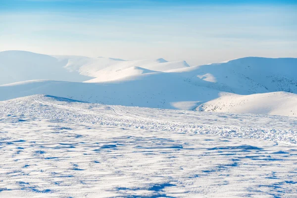 Красивый зимний пейзаж Стоковая Картинка