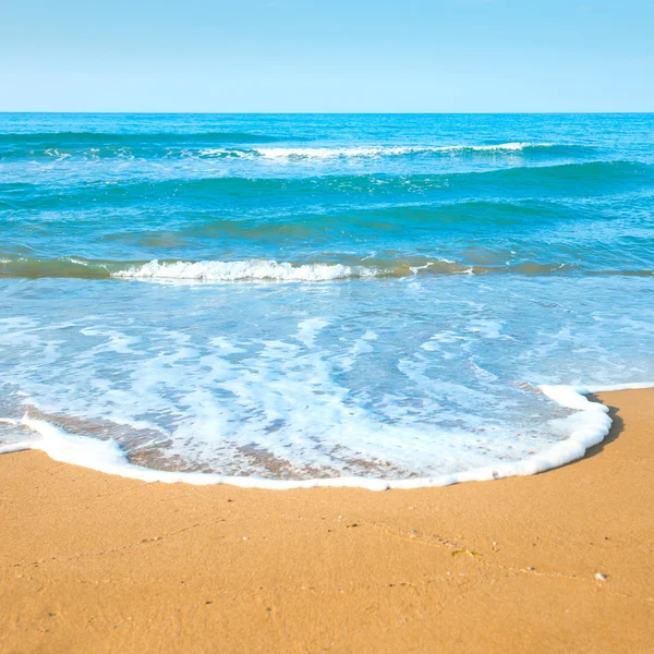 Tropischer Strand mit Sand und Meer — Stockfoto