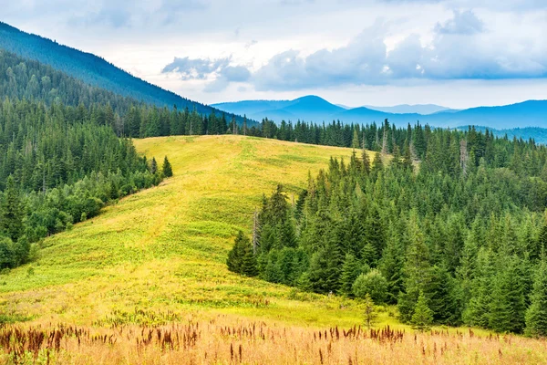Blaue Berge und Tal mit Gras — Stockfoto