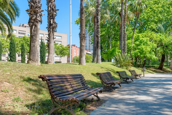 Reen palm trees in Barcelona — Stock Photo, Image