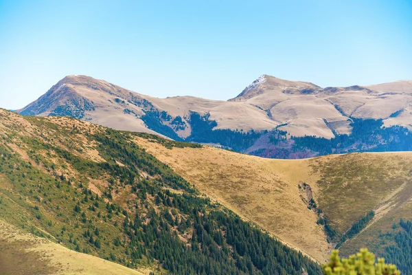 Montanhas com grama e floresta — Fotografia de Stock