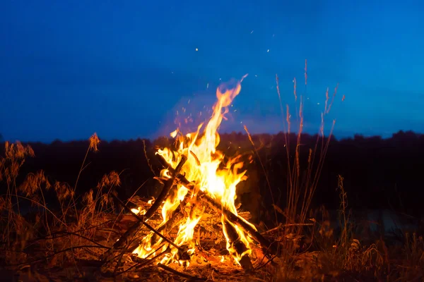 Grand feu de camp la nuit dans la forêt — Photo